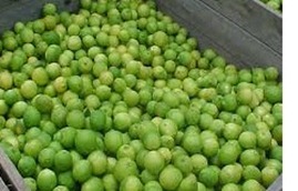 citri3