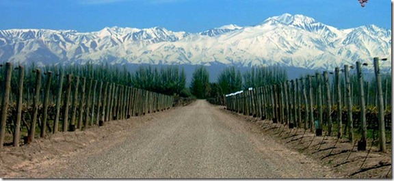 mendoza-la-calma-despues-de-la-vendimia-7d