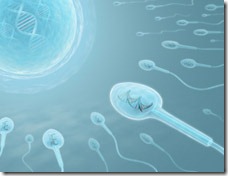 sperm
