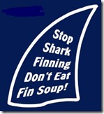 stop shark finning 003