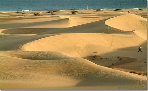 Maspalomas1