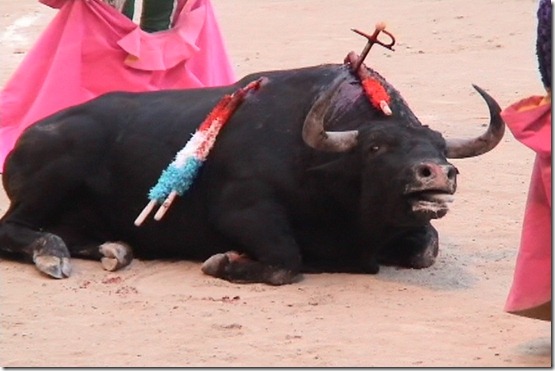 TORO2