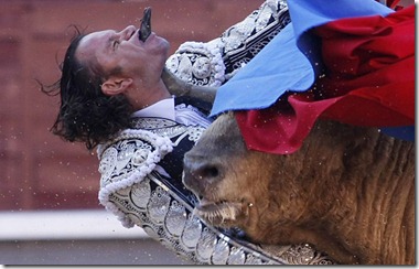 TORO4