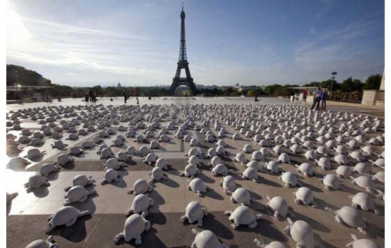 tortugas parís