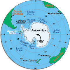 antarctic