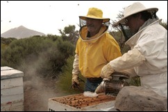 apicultores teide foto Cristobal García
