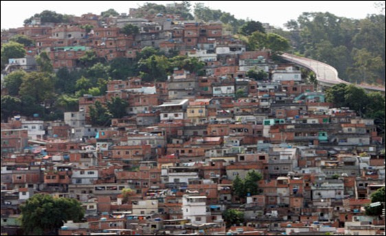 mangueira_cmoraes