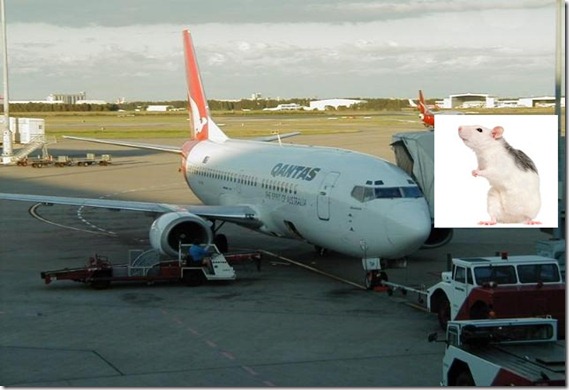 qantas_brisbane_airport