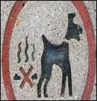 dogshit