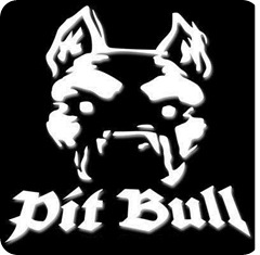 pitt bull