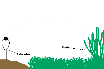 trajectorySP3