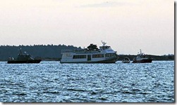 vesibussihaveri