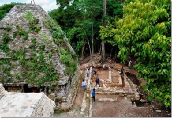 p maya5