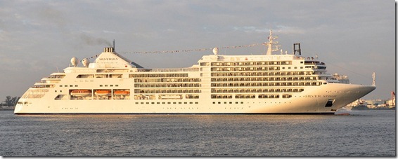 SILVER spirit