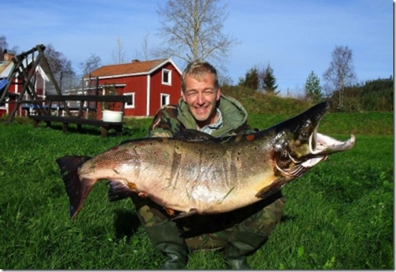 Uwe Lehrer, Huljen, salmón 29, 2 kilos