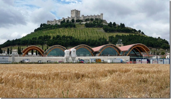 Bodega Protos - castillo