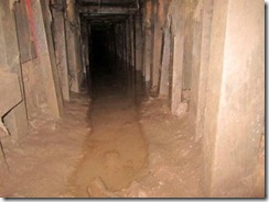 REU USA-MEXICO/TUNNEL