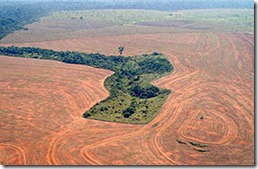 amazonas