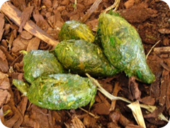 caca de panda