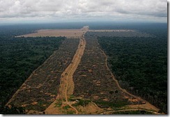 desmatamento-da-amazonia1