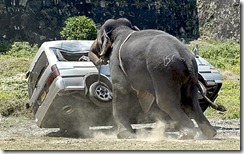 elefante ataca en Jarkhand India