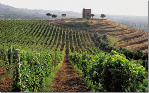 frascati-weekend