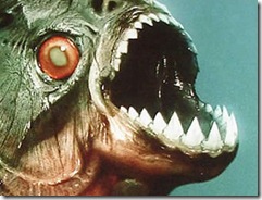 piranha