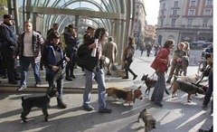 protesta animalista bilbao