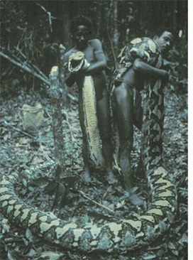 Python_Agta