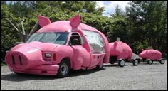 TTpigs_gal