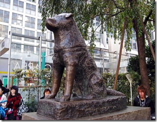 hachiko1