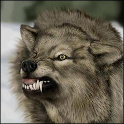 wolf