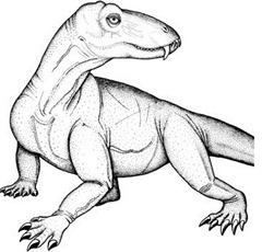 dinocephalian Pampaphoneus biccai