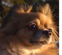 f044-