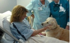 il cane può visitare il padrone in ospedale