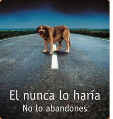 perro-abandonado