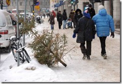 árbol de navidad-