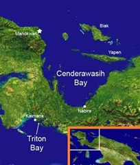 CENDERAWASIH BAY-