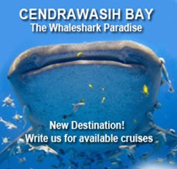 cendrawasih_bay_ad