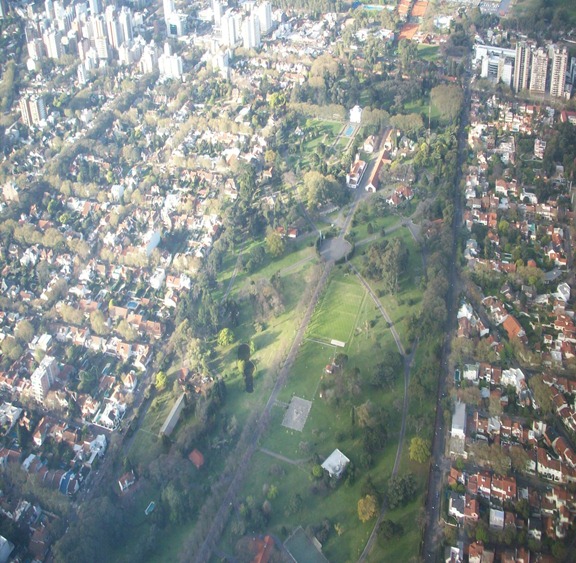 olivos --