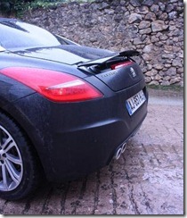 p tcz spoiler