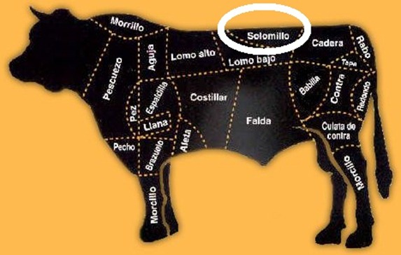 partes_vaca