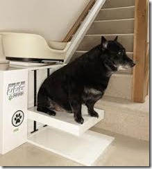Stair of the Dog 2022