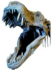 T-rex 