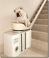Stair of the dog: world's first stair lift for obese dogs unveil
