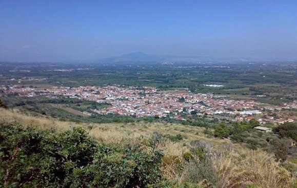falciano1