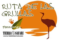 grullas3