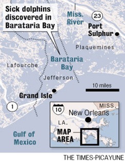 map-dolphins