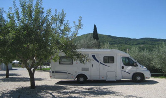 motovun-4