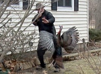 turkey6